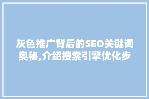 灰色推广背后的SEO关键词奥秘,介绍搜索引擎优化步骤