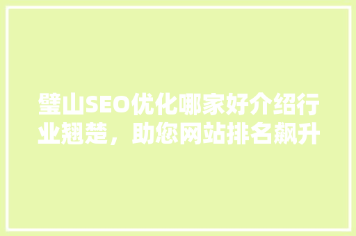 璧山SEO优化哪家好介绍行业翘楚，助您网站排名飙升！