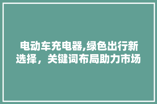 电动车充电器,绿色出行新选择，关键词布局助力市场拓展