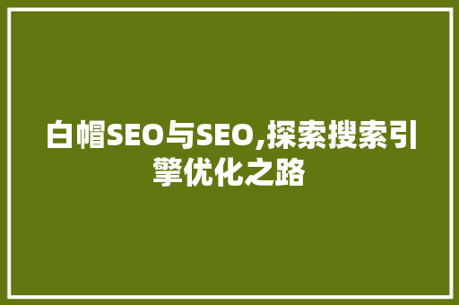 白帽SEO与SEO,探索搜索引擎优化之路
