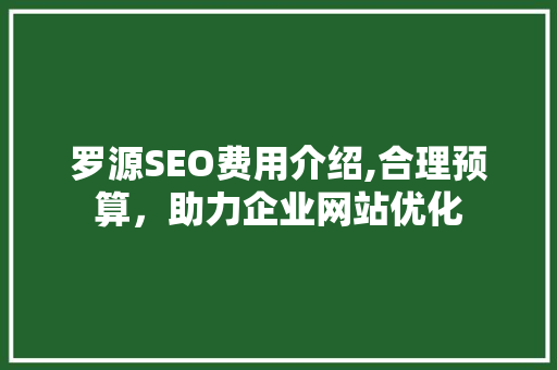 罗源SEO费用介绍,合理预算，助力企业网站优化