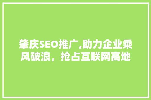 肇庆SEO推广,助力企业乘风破浪，抢占互联网高地