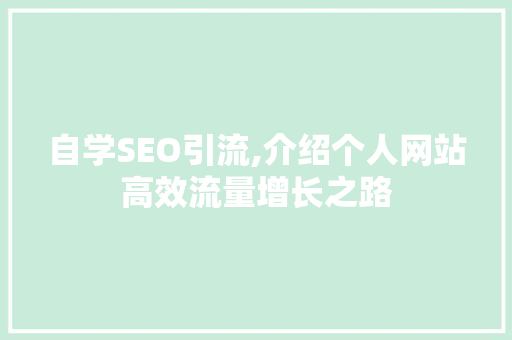 自学SEO引流,介绍个人网站高效流量增长之路