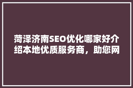 菏泽济南SEO优化哪家好介绍本地优质服务商，助您网站脱颖而出