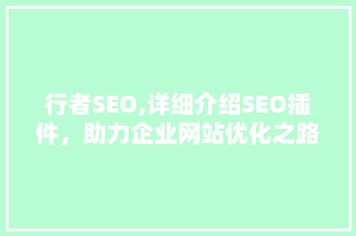 行者SEO,详细介绍SEO插件，助力企业网站优化之路