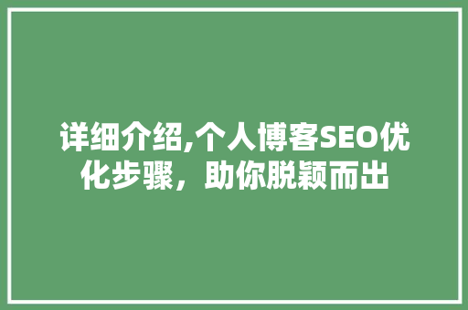 详细介绍,个人博客SEO优化步骤，助你脱颖而出