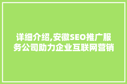 详细介绍,安徽SEO推广服务公司助力企业互联网营销腾飞