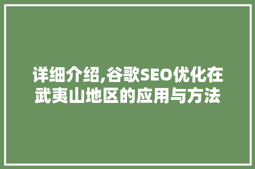详细介绍,谷歌SEO优化在武夷山地区的应用与方法
