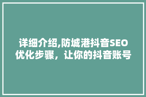 详细介绍,防城港抖音SEO优化步骤，让你的抖音账号脱颖而出