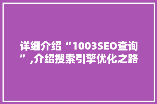 详细介绍“1003SEO查询”,介绍搜索引擎优化之路