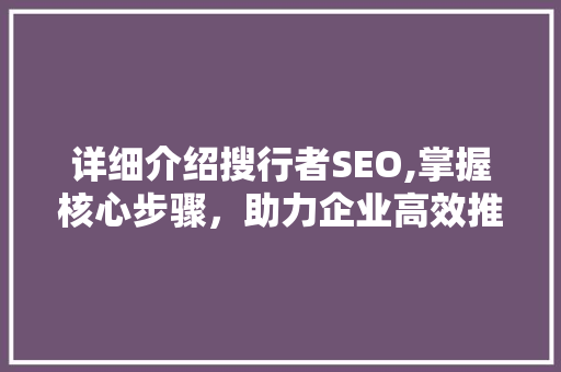 详细介绍搜行者SEO,掌握核心步骤，助力企业高效推广