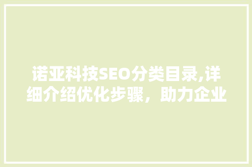 诺亚科技SEO分类目录,详细介绍优化步骤，助力企业网站脱颖而出