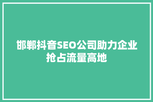 邯郸抖音SEO公司助力企业抢占流量高地