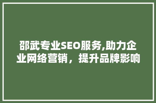 邵武专业SEO服务,助力企业网络营销，提升品牌影响力