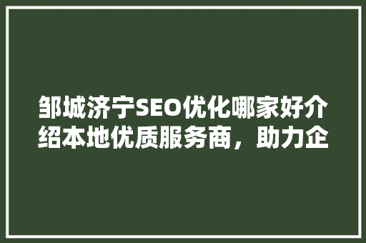 邹城济宁SEO优化哪家好介绍本地优质服务商，助力企业互联网发展