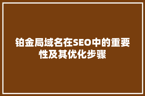 铂金局域名在SEO中的重要性及其优化步骤