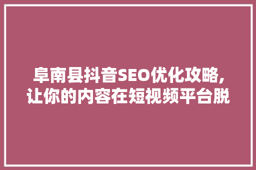 阜南县抖音SEO优化攻略,让你的内容在短视频平台脱颖而出