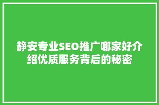 静安专业SEO推广哪家好介绍优质服务背后的秘密