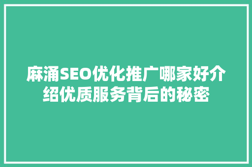 麻涌SEO优化推广哪家好介绍优质服务背后的秘密
