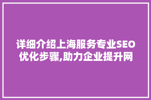 详细介绍上海服务专业SEO优化步骤,助力企业提升网络竞争力