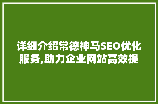 详细介绍常德神马SEO优化服务,助力企业网站高效提升排名