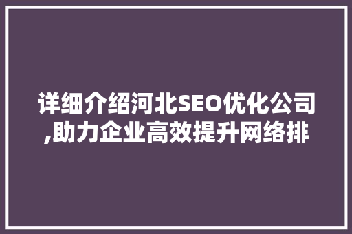 详细介绍河北SEO优化公司,助力企业高效提升网络排名