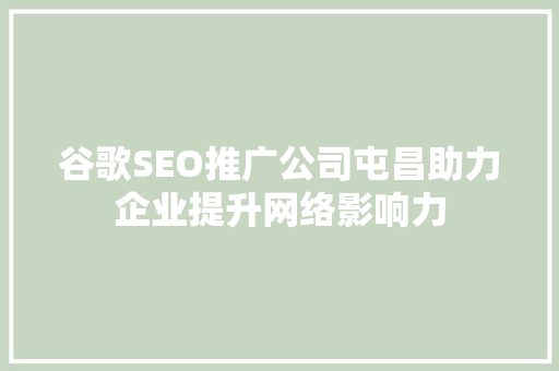 谷歌SEO推广公司屯昌助力企业提升网络影响力