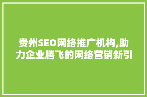 贵州SEO网络推广机构,助力企业腾飞的网络营销新引擎