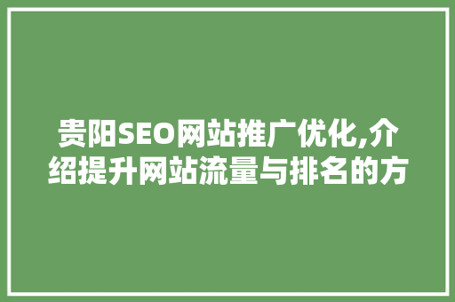 贵阳SEO网站推广优化,介绍提升网站流量与排名的方法