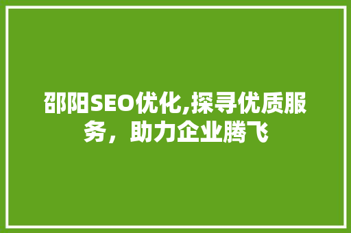 邵阳SEO优化,探寻优质服务，助力企业腾飞