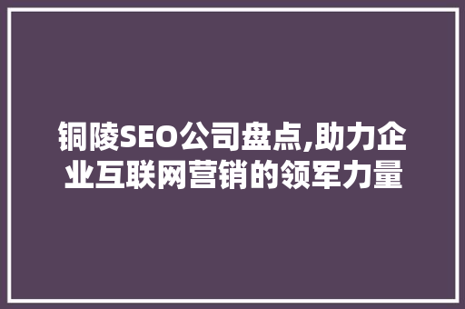 铜陵SEO公司盘点,助力企业互联网营销的领军力量