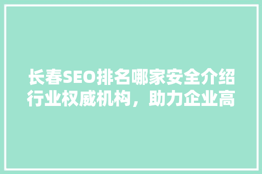 长春SEO排名哪家安全介绍行业权威机构，助力企业高效优化