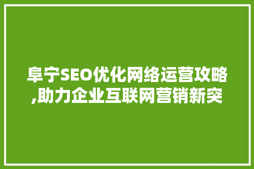 阜宁SEO优化网络运营攻略,助力企业互联网营销新突破
