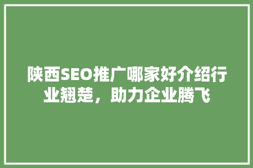 陕西SEO推广哪家好介绍行业翘楚，助力企业腾飞
