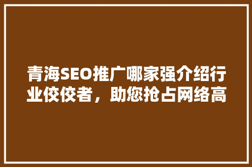 青海SEO推广哪家强介绍行业佼佼者，助您抢占网络高地
