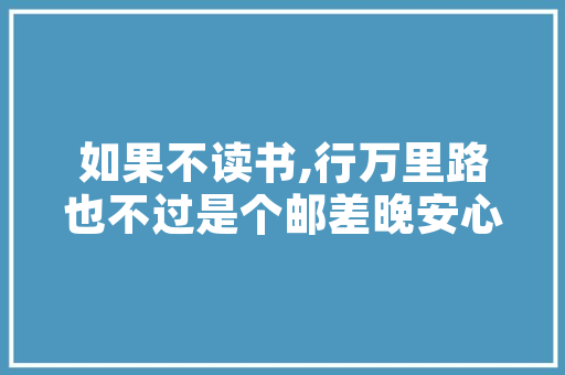 韶关SEO优化,助力企业互联网发展新引擎