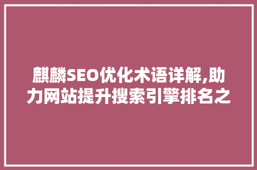 麒麟SEO优化术语详解,助力网站提升搜索引擎排名之路