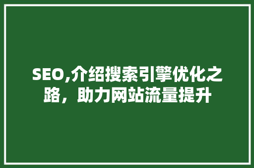 SEO,介绍搜索引擎优化之路，助力网站流量提升