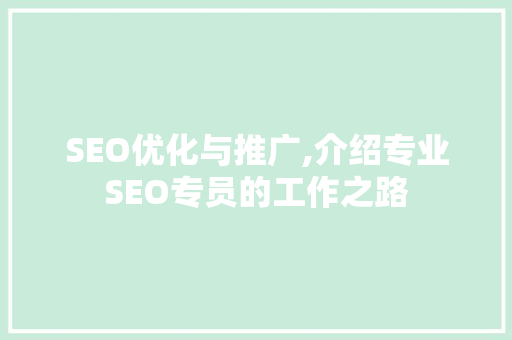 SEO优化与推广,介绍专业SEO专员的工作之路