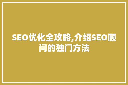 SEO优化全攻略,介绍SEO顾问的独门方法