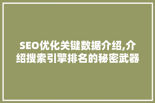 SEO优化关键数据介绍,介绍搜索引擎排名的秘密武器