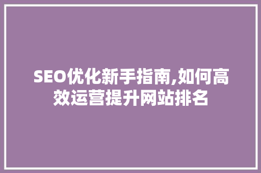SEO优化新手指南,如何高效运营提升网站排名
