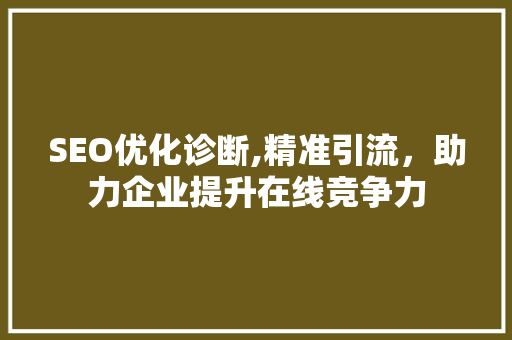 SEO优化诊断,精准引流，助力企业提升在线竞争力