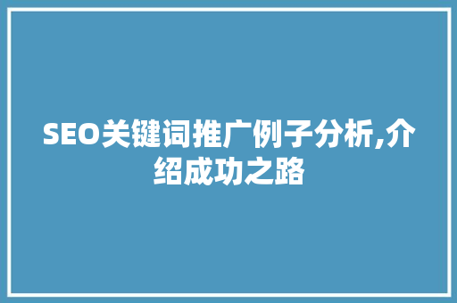 SEO关键词推广例子分析,介绍成功之路