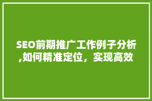 SEO前期推广工作例子分析,如何精准定位，实现高效转化