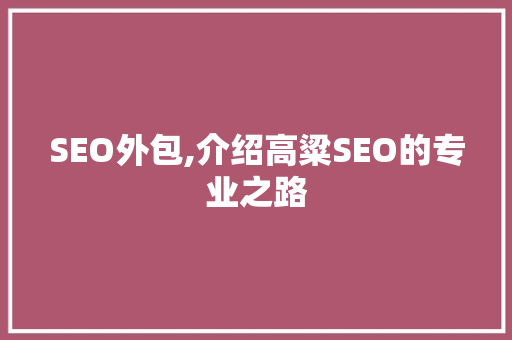 SEO外包,介绍高粱SEO的专业之路