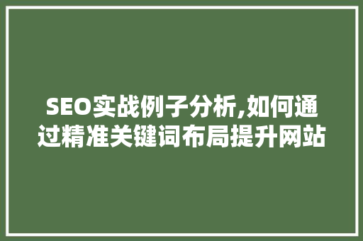SEO实战例子分析,如何通过精准关键词布局提升网站排名  第1张
