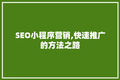 SEO小程序营销,快速推广的方法之路