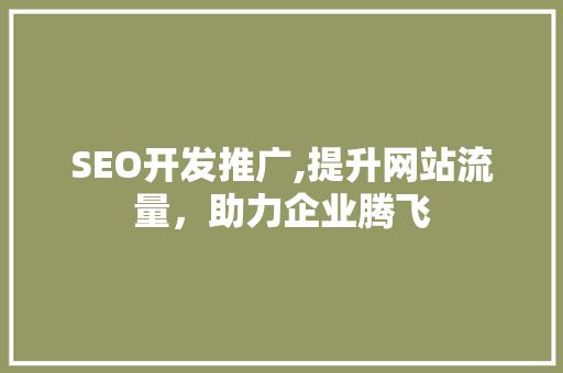SEO开发推广,提升网站流量，助力企业腾飞