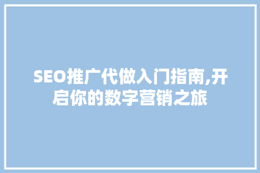 SEO推广代做入门指南,开启你的数字营销之旅